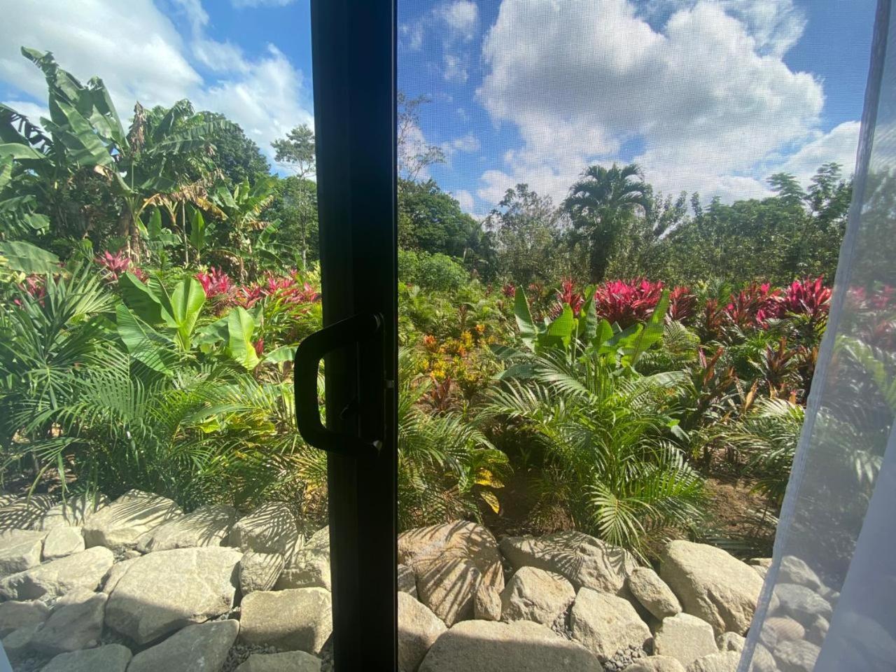 Toucan Home La Fortuna 외부 사진