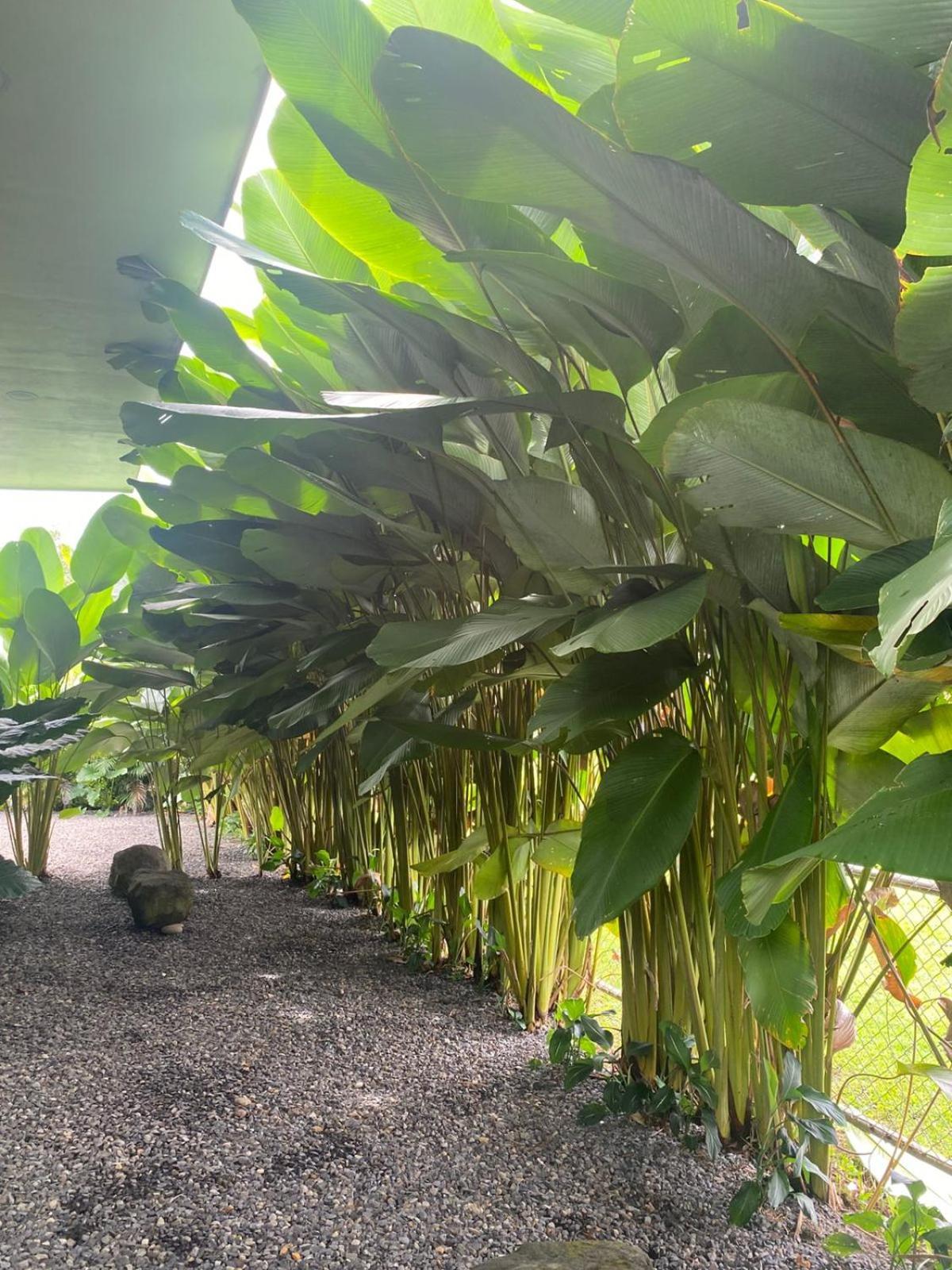 Toucan Home La Fortuna 외부 사진
