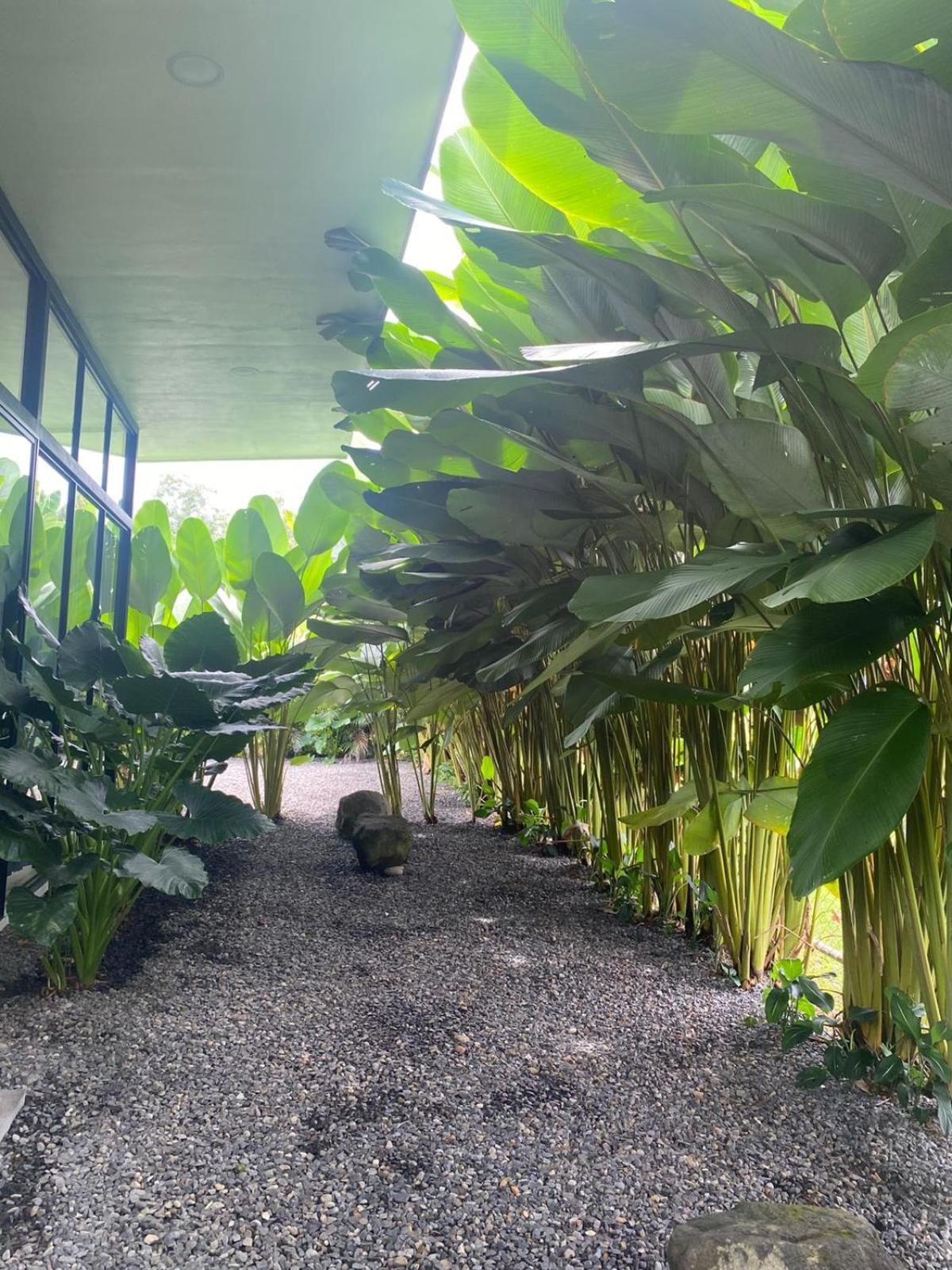Toucan Home La Fortuna 외부 사진