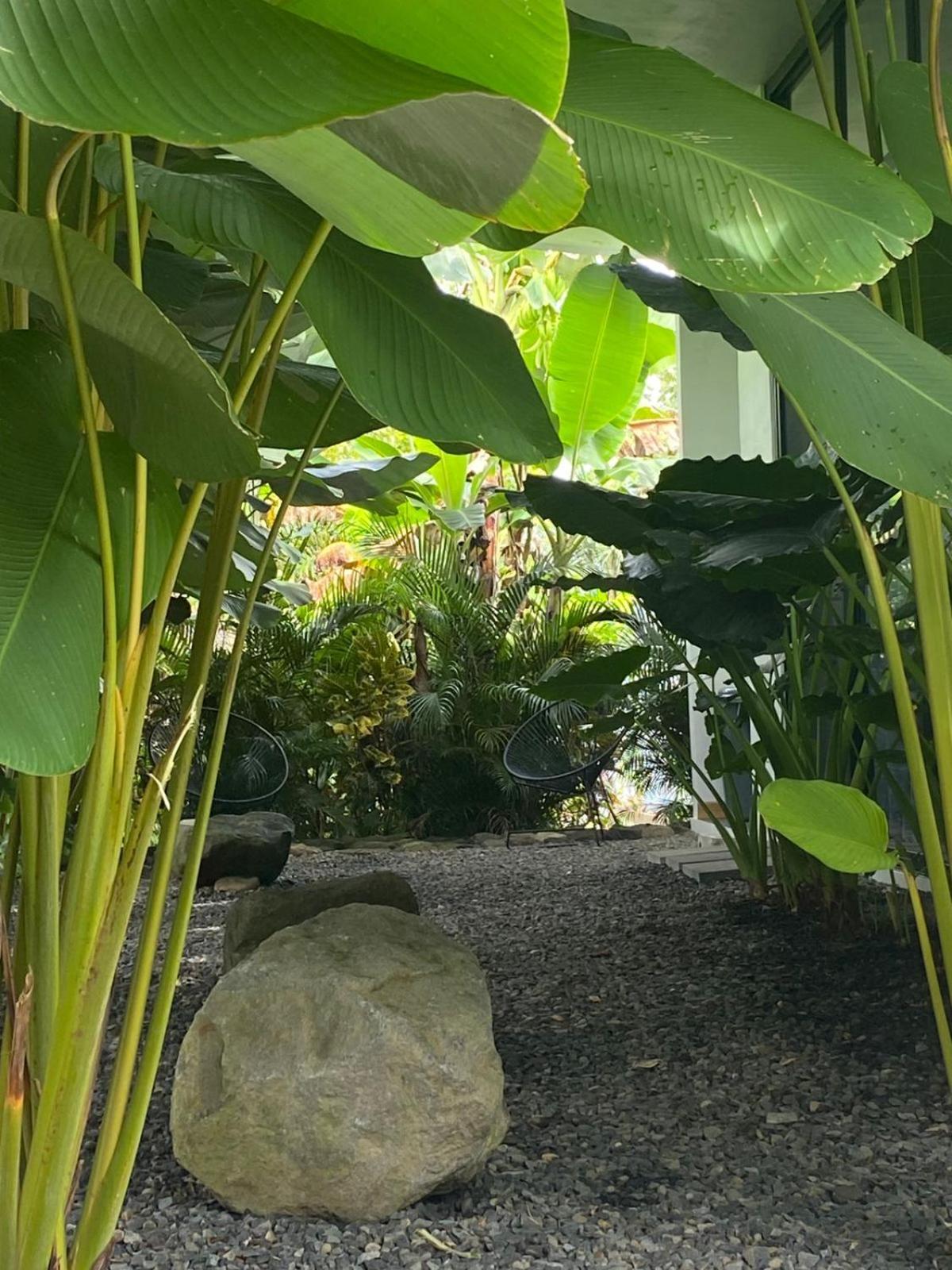 Toucan Home La Fortuna 외부 사진